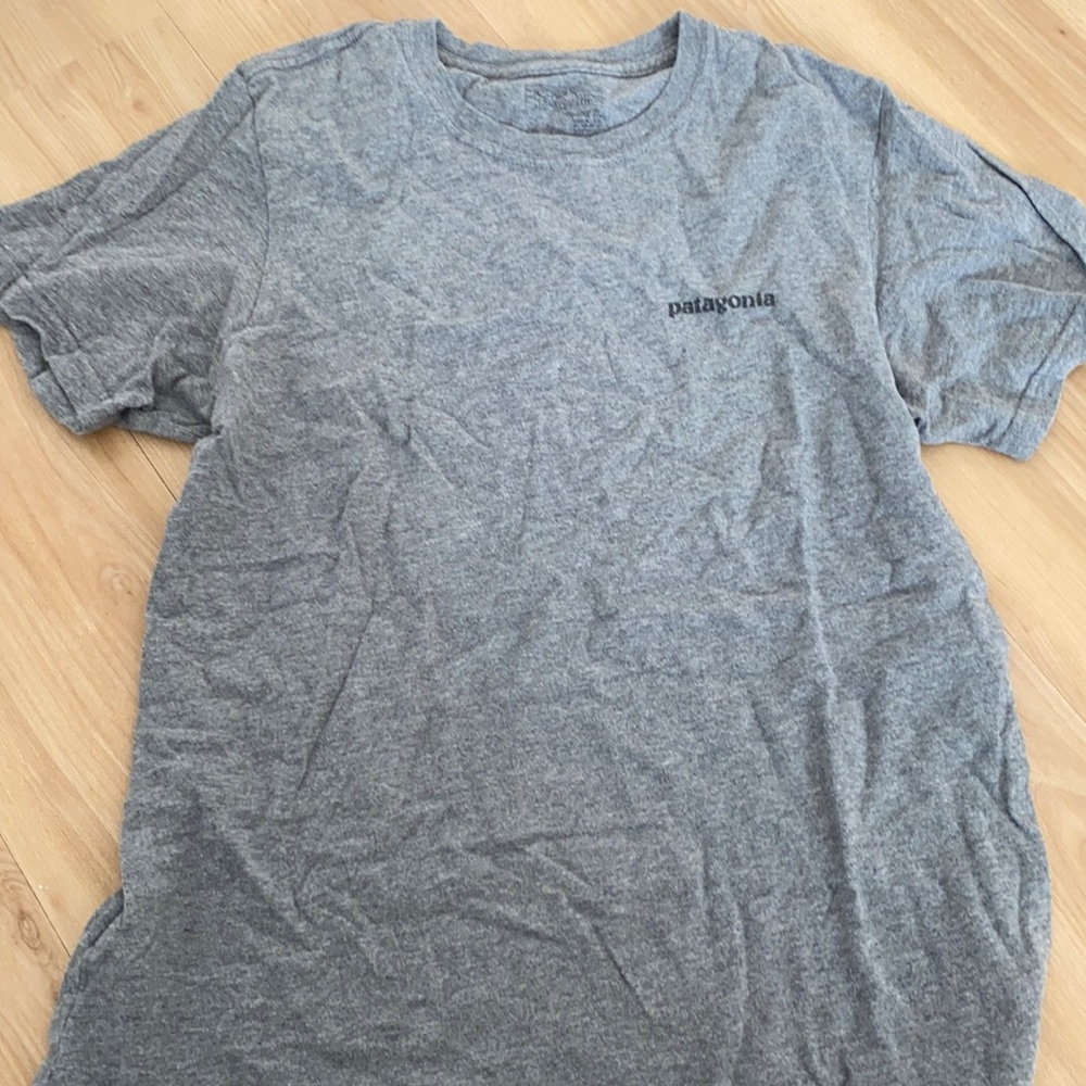 Patagonia t shirt